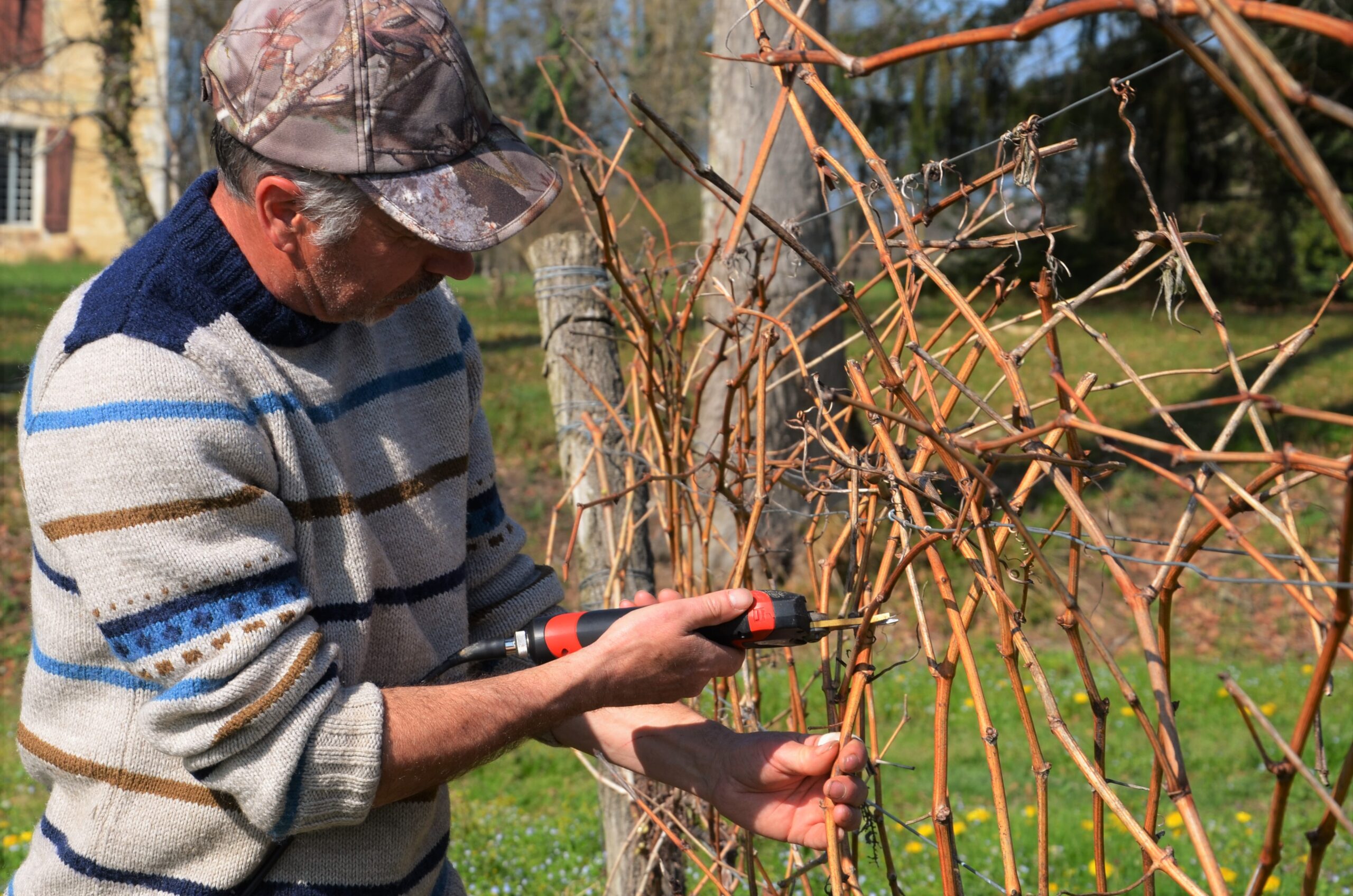 The Baron’s Blog: January and the year’s work begins in earnest at Château de Bordeneuve…