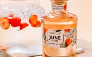 Just the tonic – five fantastic French gins
