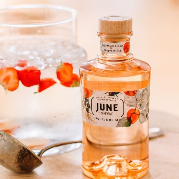 Just the tonic – five fantastic French gins