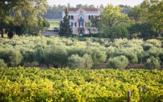 Rid the oceans of plastic… by drinking wine!