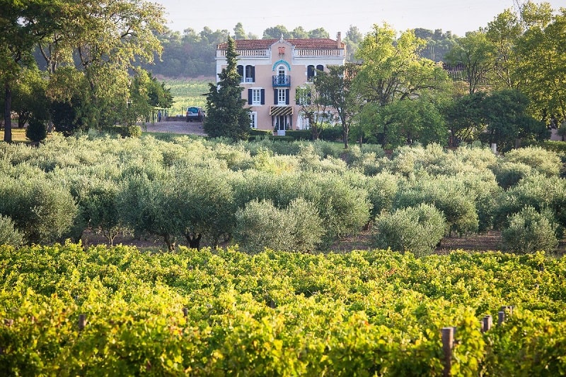 Rid the oceans of plastic… by drinking wine!