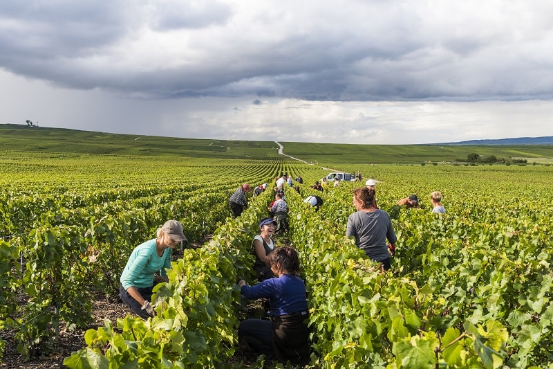 Five great wines made by women to mark International Women’s Day