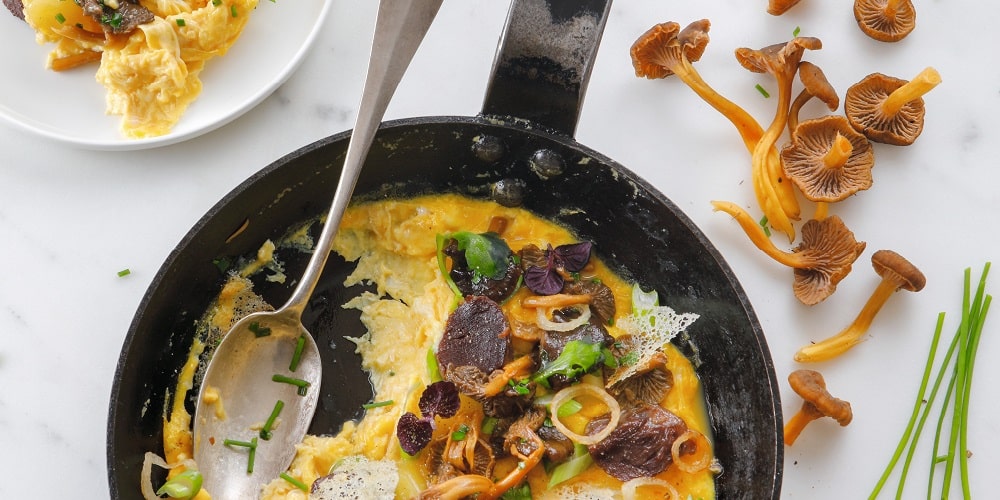 Flat chanterelle omelette