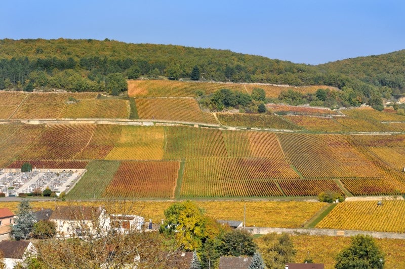 Three of France’s best wine routes