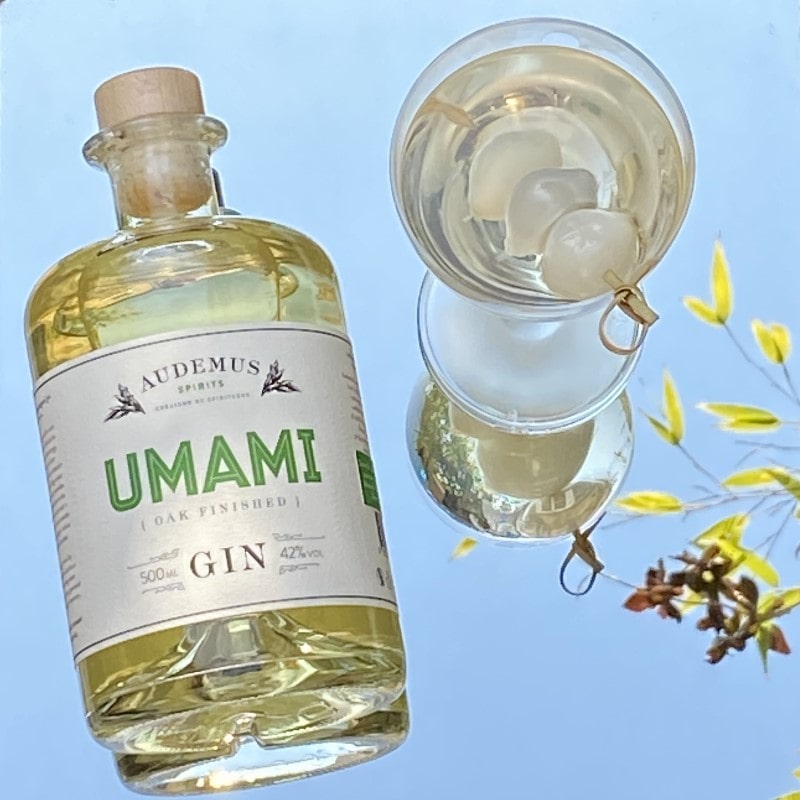Gin