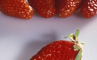 Eat seasonally: What’s in season in France in May