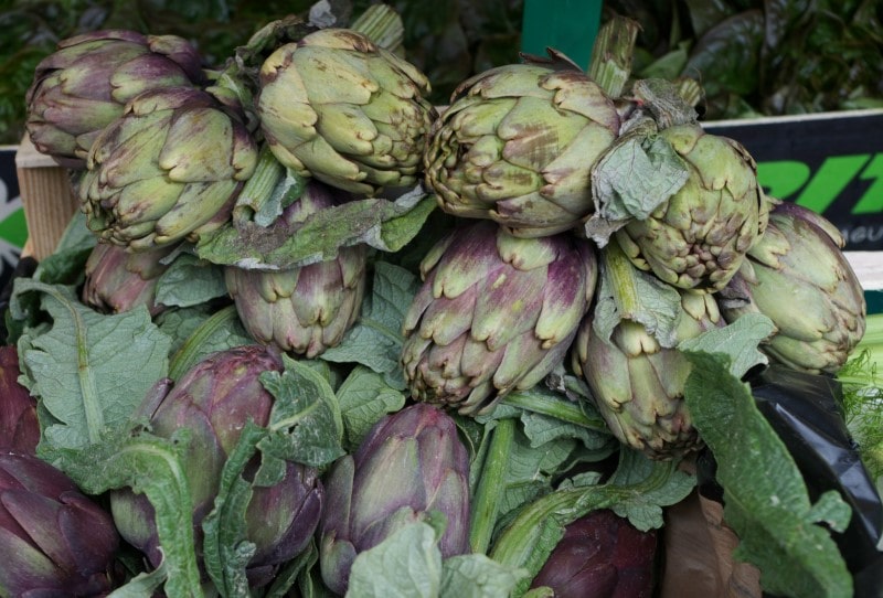 All about French artichokes