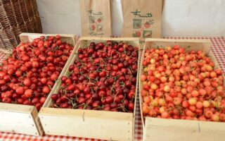 Four of the best French cherry varieties to look out for at market