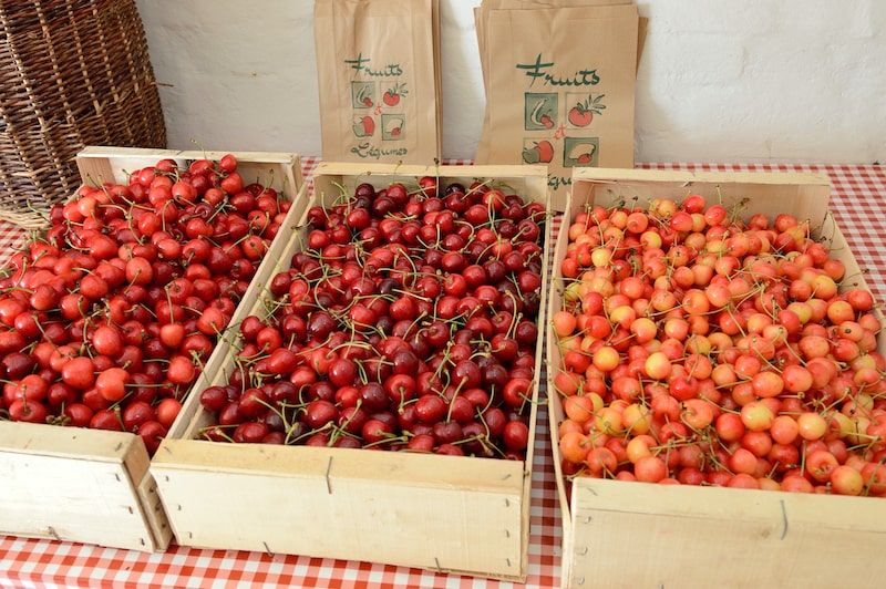 Four of the best French cherry varieties to look out for at market