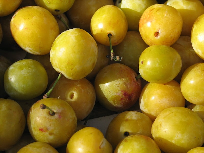 Eat seasonally: What’s in season in France in September