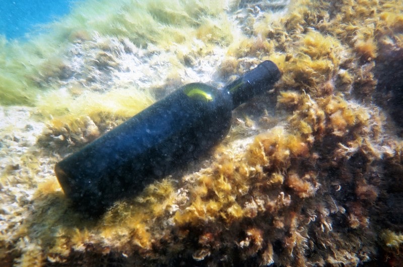 Wine submerged in a pond for a year to see how it ages