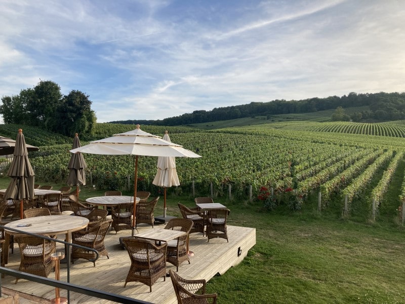 Terrace of the Chateau de Sacy ©Richard Esling WineWyse