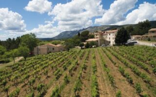 From Battlefield to Vineyard: The French Foreign Legion’s Wine