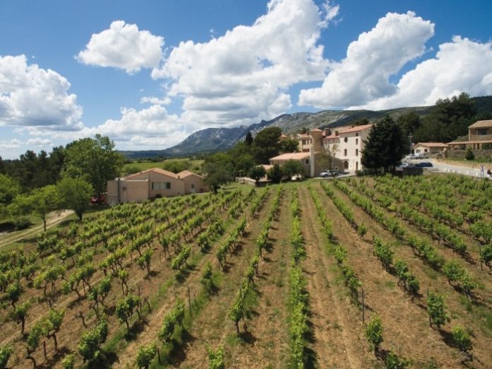 From Battlefield to Vineyard: The French Foreign Legion’s Wine