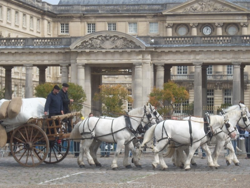 Giddy up for La Route du Poisson