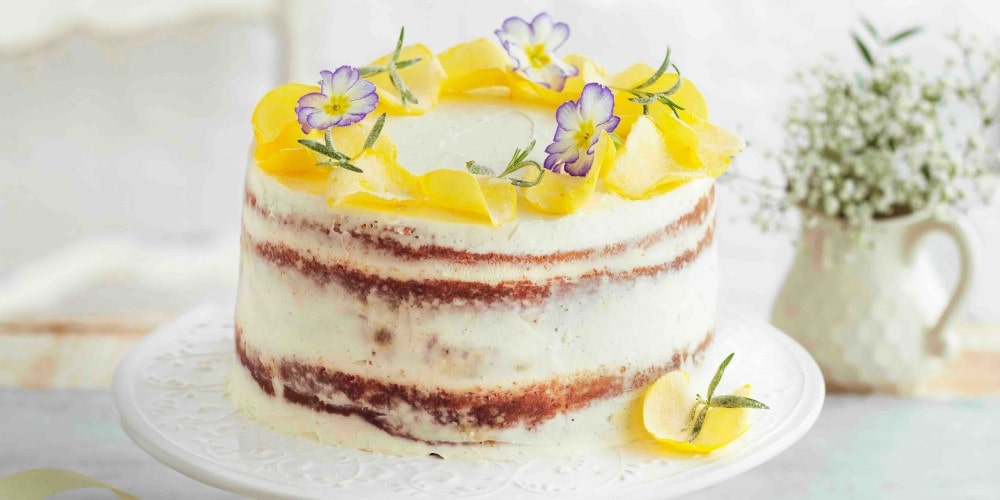 Vanilla & almond plum layer cake with ricotta frosting