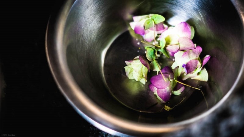 Six new eco-aware restaurants receive the Michelin Green Star