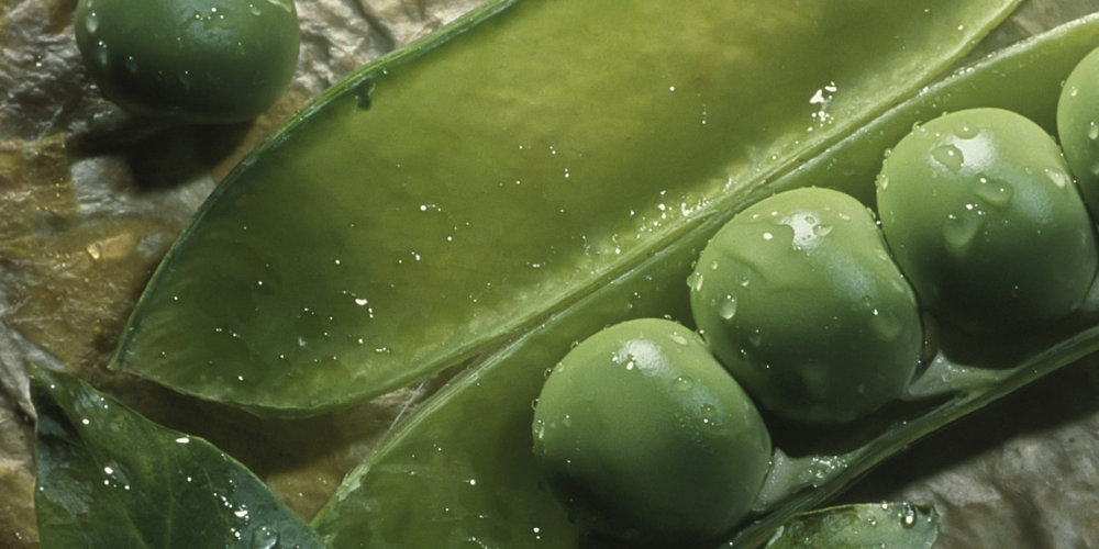 What’s in season in May? Peas!