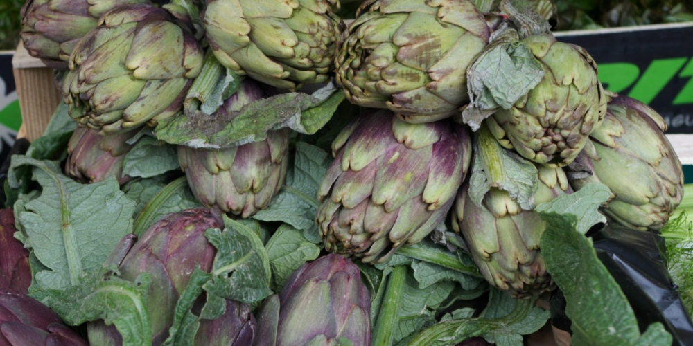 A is for artichoke (and it’s in season now!)
