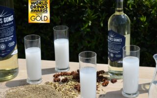 It’s official: the best pastis in the world is from Lyon