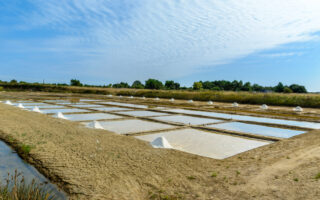 Your handy guide to the seafood hotspots of the Charente-Maritime