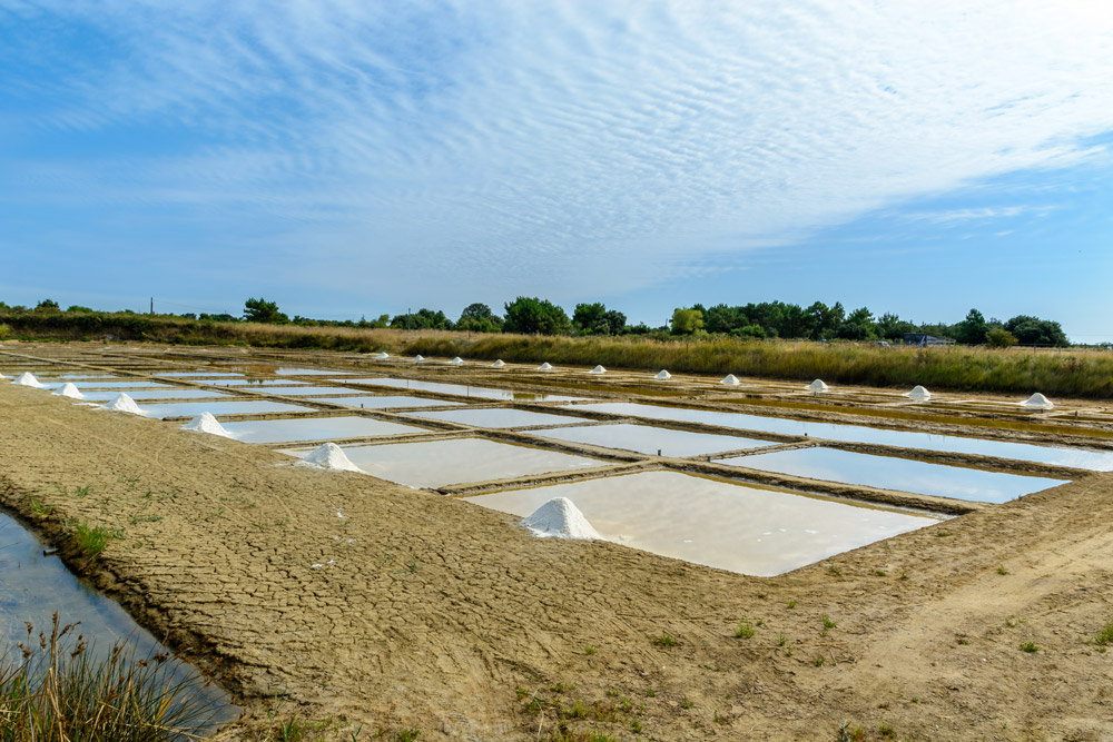 Your handy guide to the seafood hotspots of the Charente-Maritime
