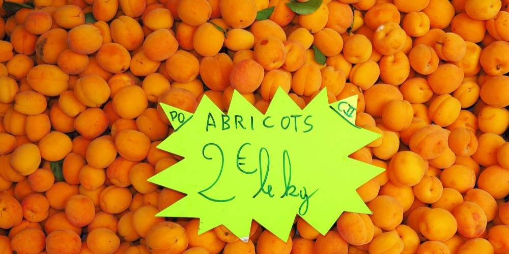 At the market… apricots, the first fruit of summer