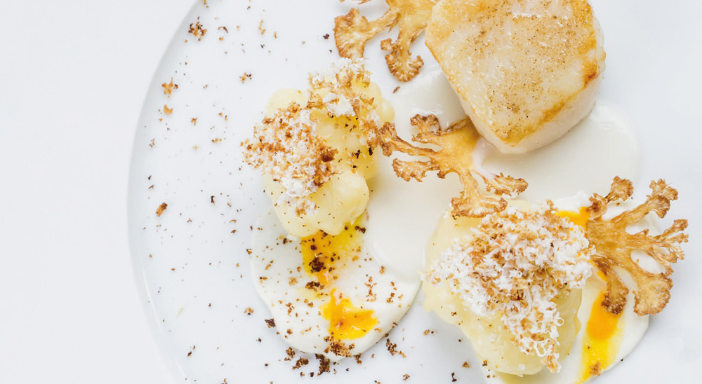 Coquille Saint-Jacques