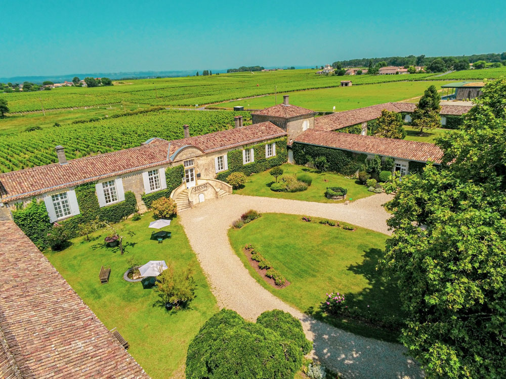 Sauternes producer launches a dry Bordeaux – thanks to Botrytis