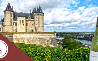 Competition: Win Two Bottles of 2019 Touraine Sauvignon Blanc