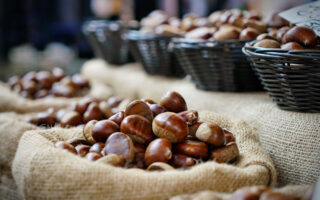 It’s chestnut season in Mourjou
