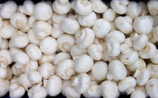 The true story of the Champignon de Paris
