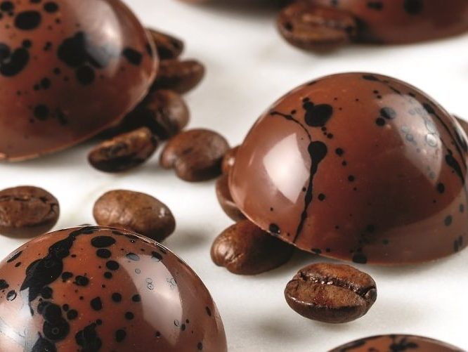 Cappuccino molded bonbons