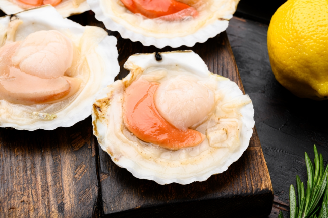 Scallops: a very French festive treat