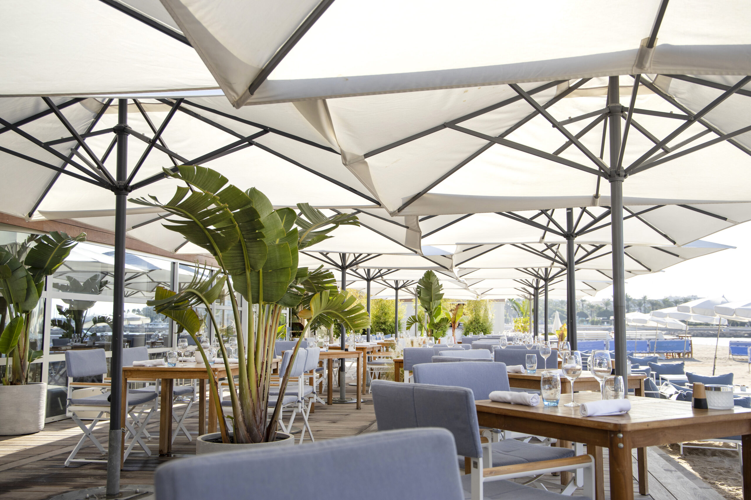 Jean Imbert’s La Plage du Martinez in Cannes