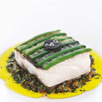 Sea Bass Lucie Passedat - Portrait