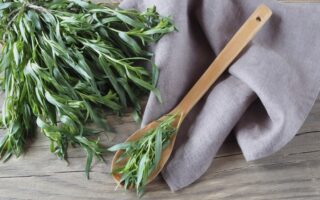 French ingredient highlight: Tarragon