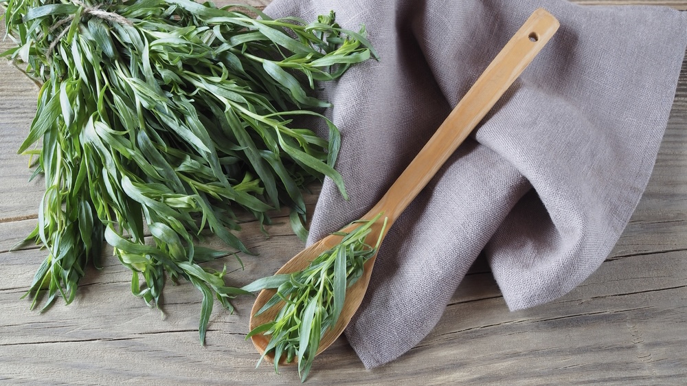 French ingredient highlight: Tarragon