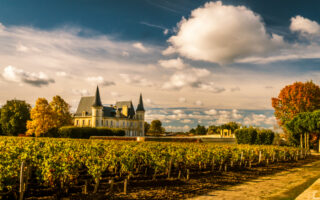 World’s top 50 vineyards for wine tourism