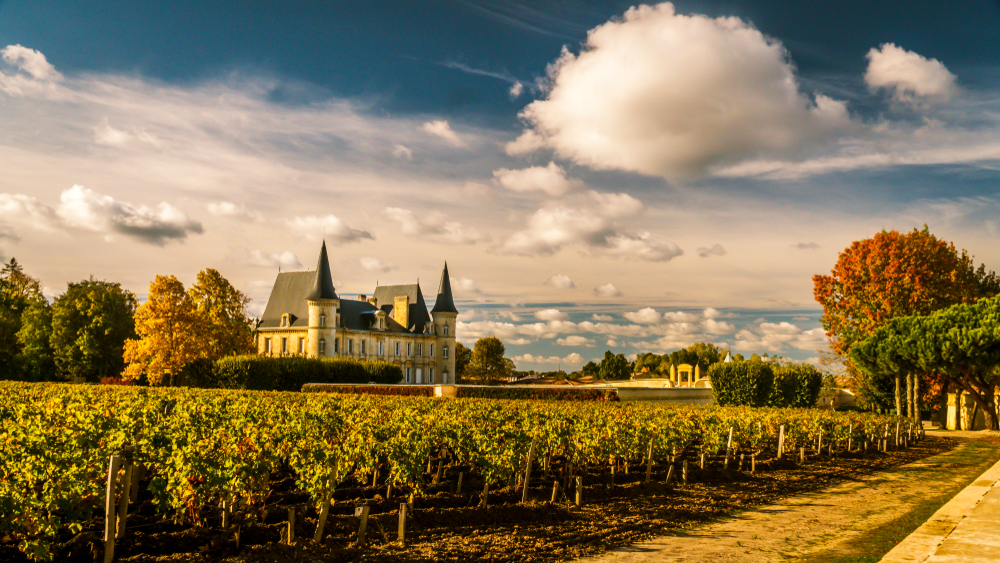 World’s top 50 vineyards for wine tourism