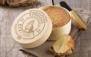 Top 10 cheeses in the world 2023