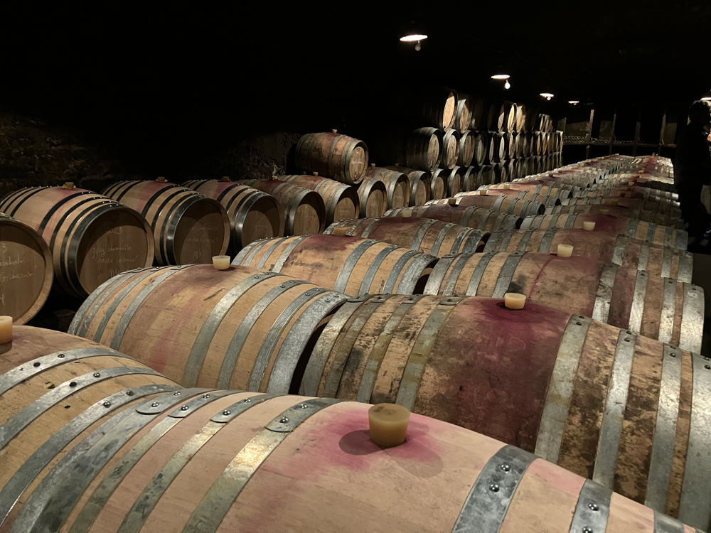 Barrel cellar at Domaine Quivy, Gevrey Chambertin