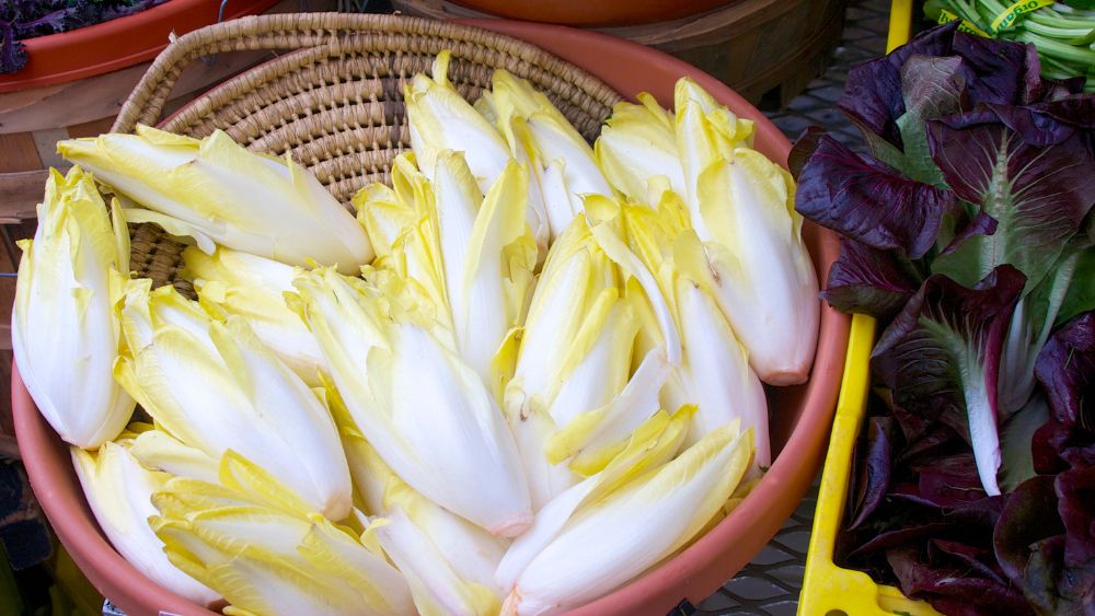 Make the most of endive while it’s in peak season