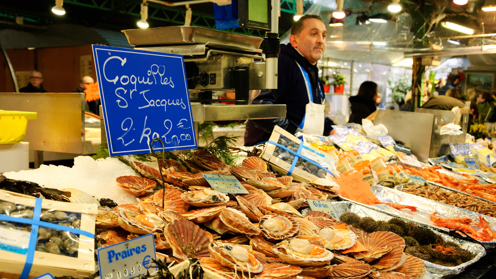 France expects a record year for scallops