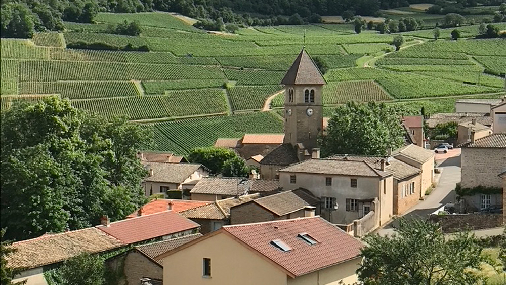 5 reasons to embark on a gastronomy break in Beaujolais countryside and learn French at your teacher’s home