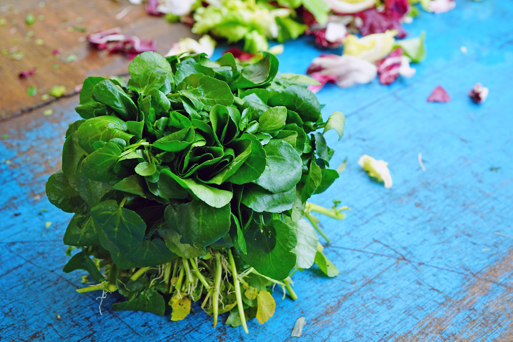 Au marché! It’s the season for watercress