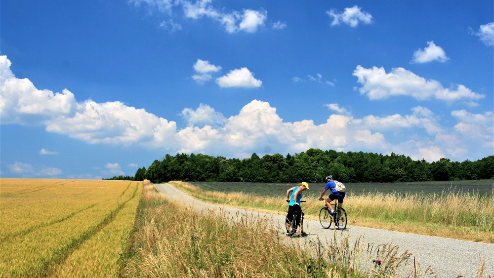 two people cycling in provence