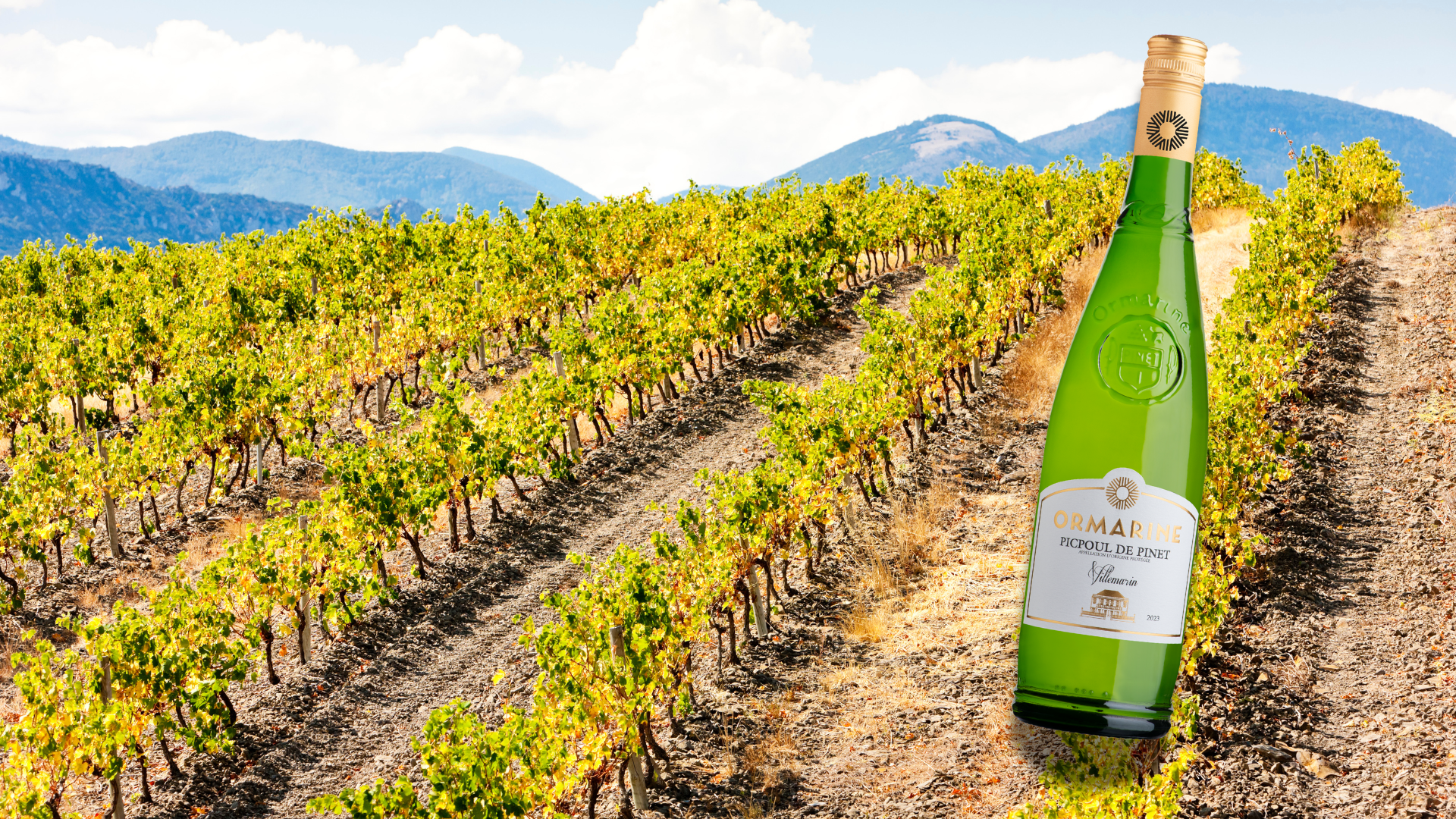 The south of France in a glass