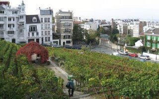 Wine, Art, and Imagination: What to Expect at the 91st Fête des Vendanges de Montmartre