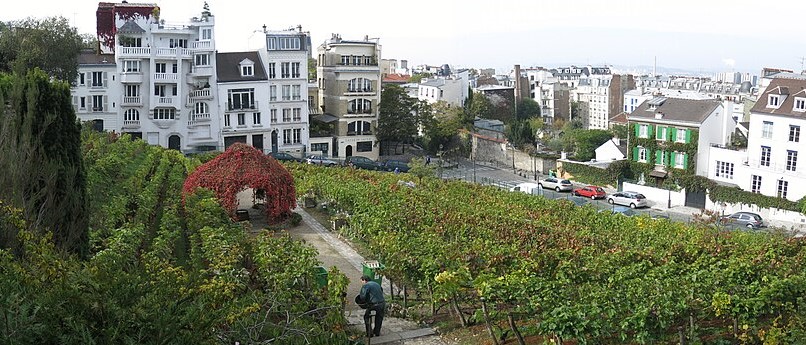 Wine, Art, and Imagination: What to Expect at the 91st Fête des Vendanges de Montmartre